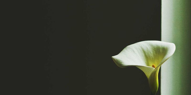 中国沿海帆船航行路线全攻略：东海、南海与渤海湾经典航程与必备水上用品