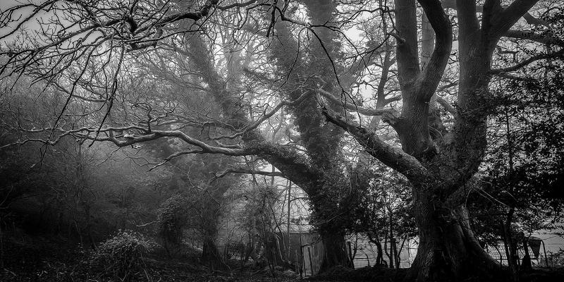 帆船运动全解析：从德古帆到专业航海装备的乘风破浪之旅