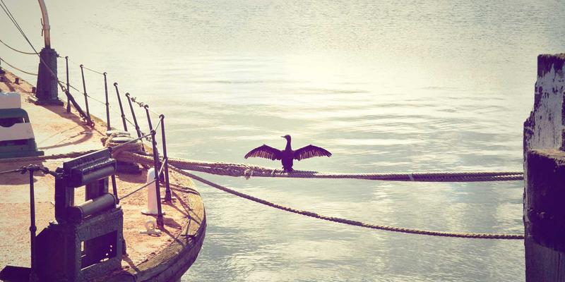 德古帆船导航技术演进：从传统六分仪到现代电子海图与卫星通讯的航海革命